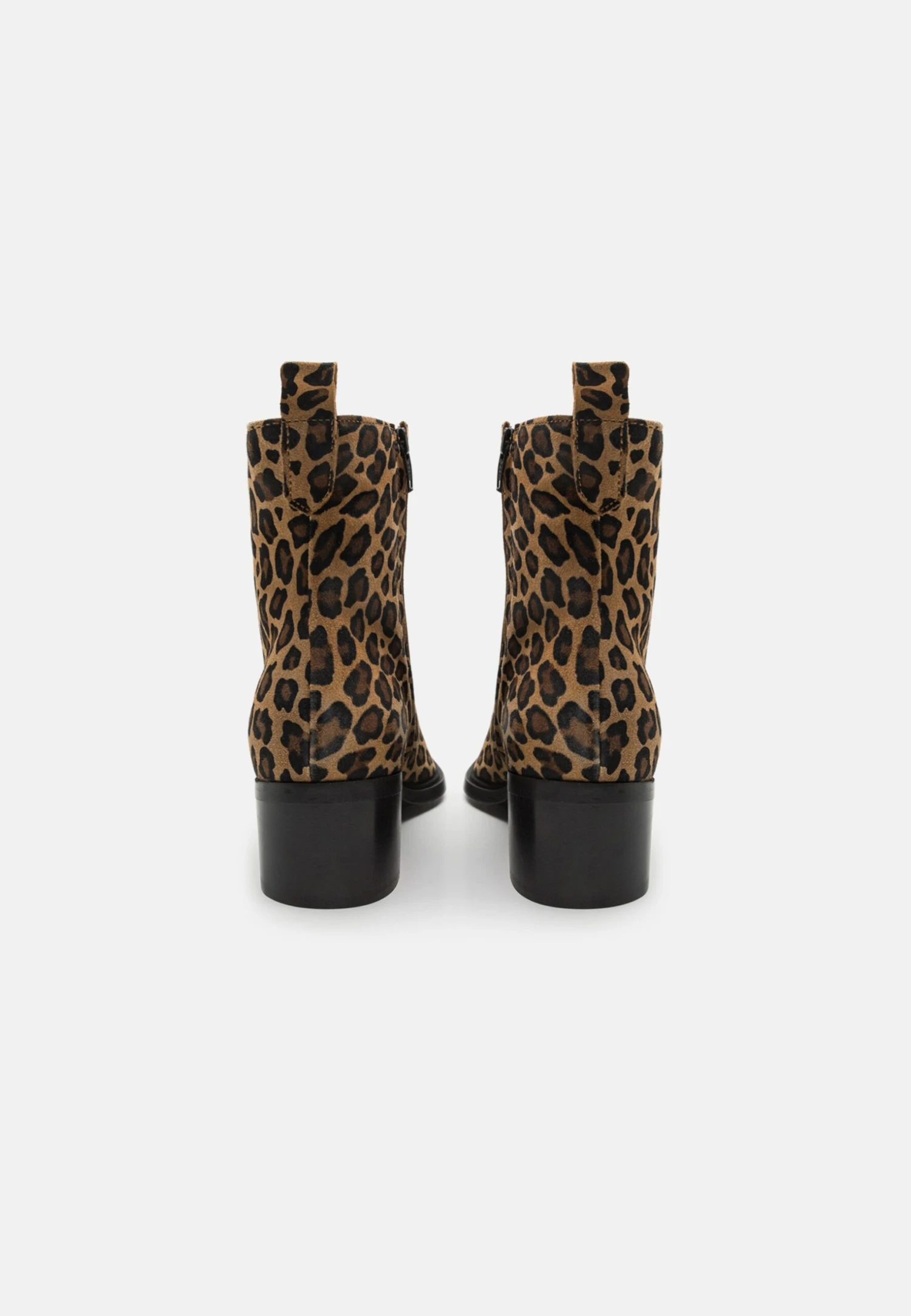 Aldo Zappa - Botines Camperos - Brown 3 Aldo Zappa - Botines Camperos - Brown - Imagen 3